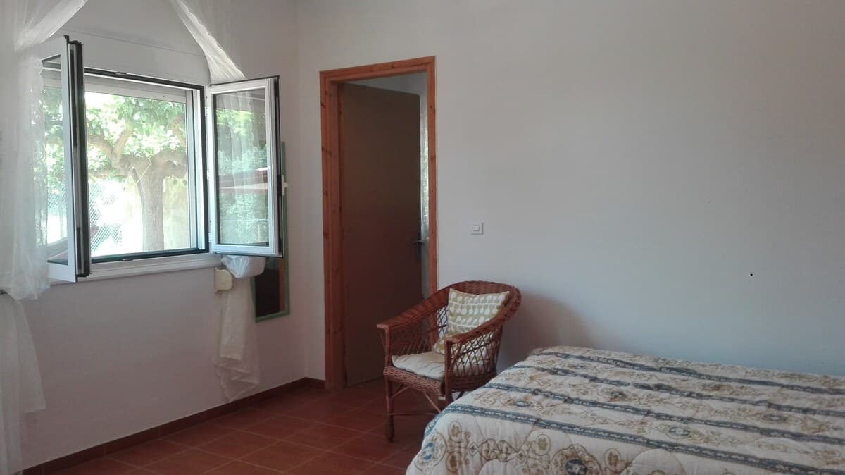 Second bedroom with olive tree view through window