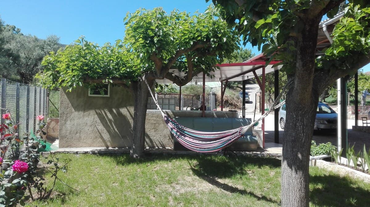 Garden with hammock strung between fruit trees
