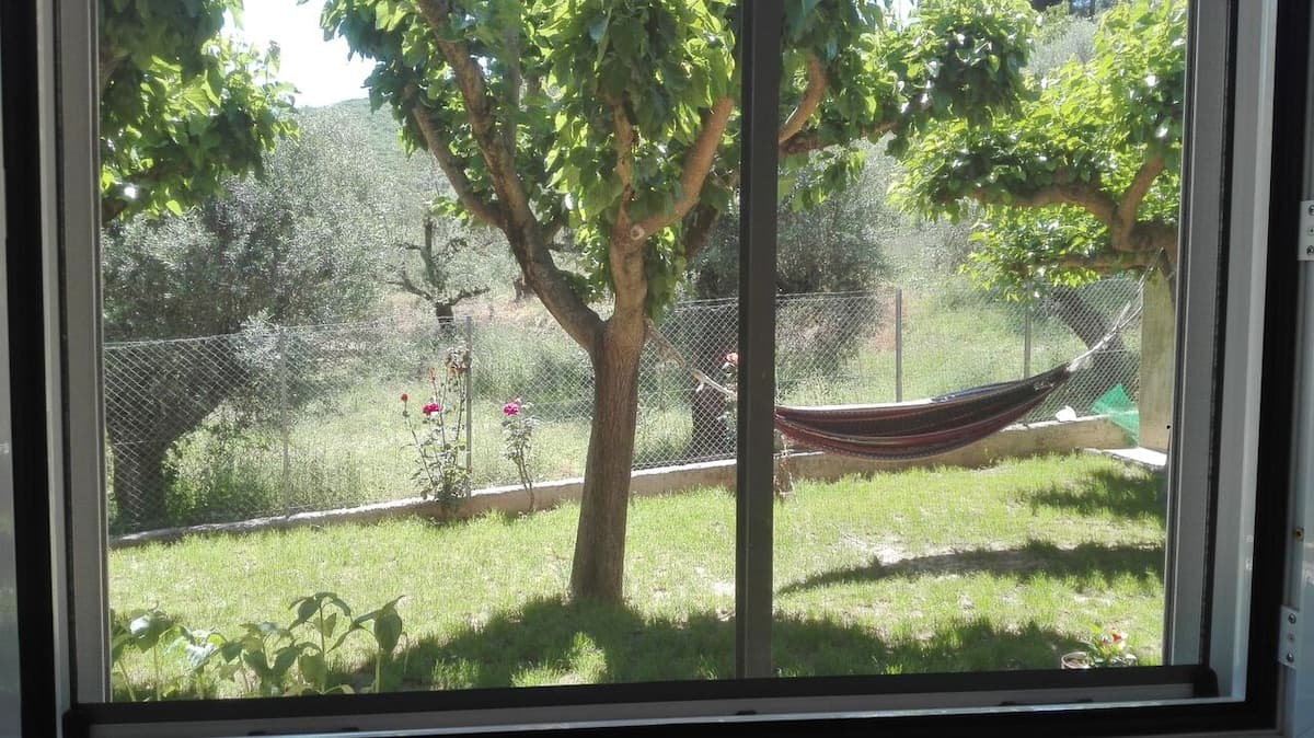 View through window to garden with hammock