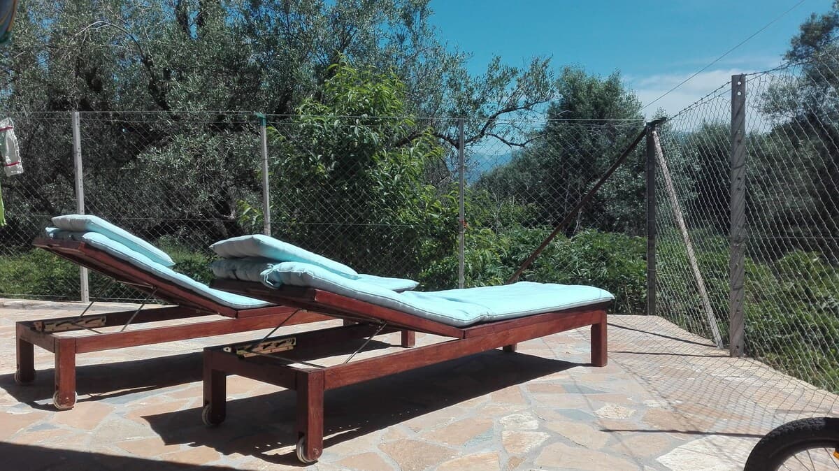 Sun loungers on the terrace among olive trees